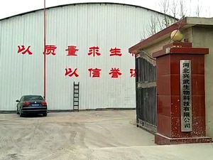 �ӱ���������Ƽ����޹�˾