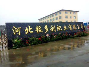 �ӱ���������ҵ���޹�˾