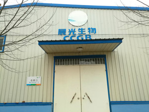 �ӱ���������Ƽ����޹�˾