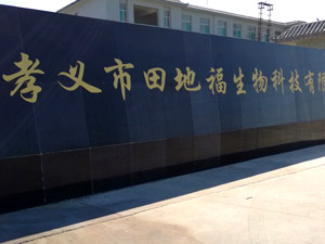 Т������ظ�����Ƽ����޹�˾