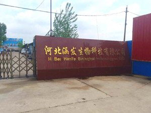 �ӱ���������Ƽ����޹�˾