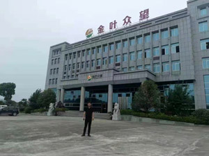 ��Ҷ��������