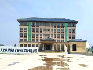 �ӱ���������Ƽ����޹�˾