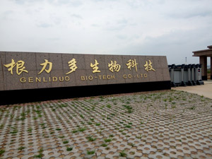 ������ɷ����޹�˾