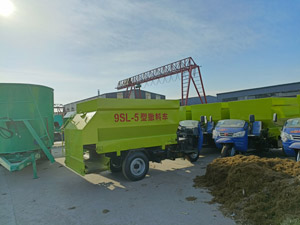 �����������һ���