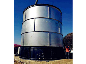 �������͹�